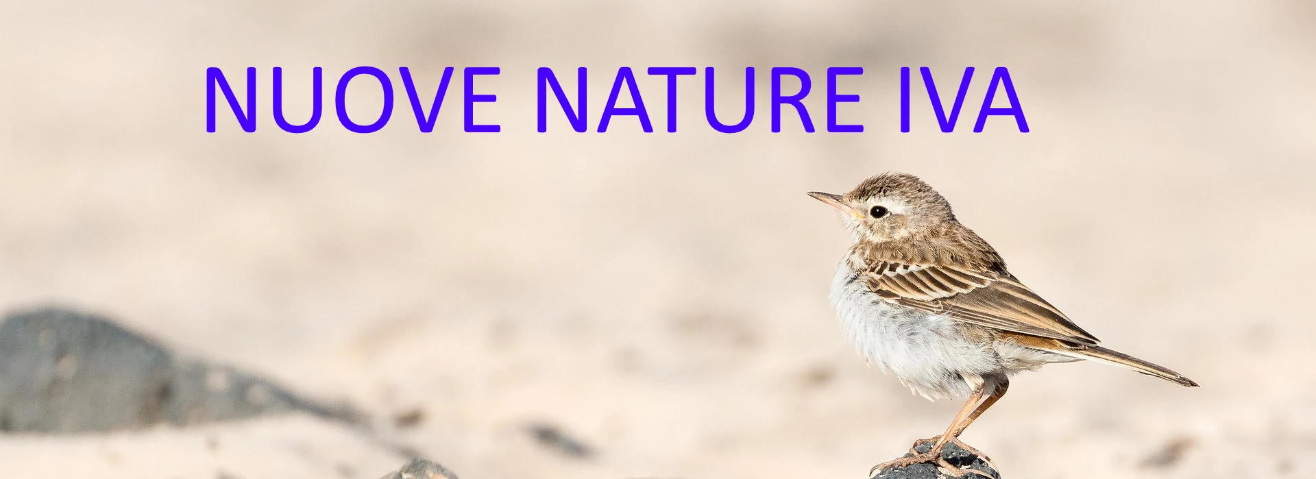 Nature IVA (SPECIFICHE)