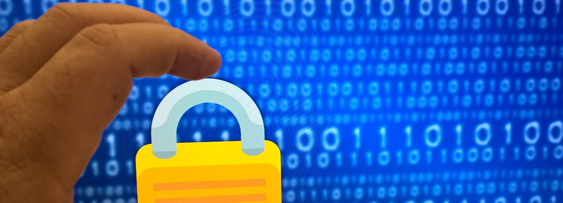 Gestione password